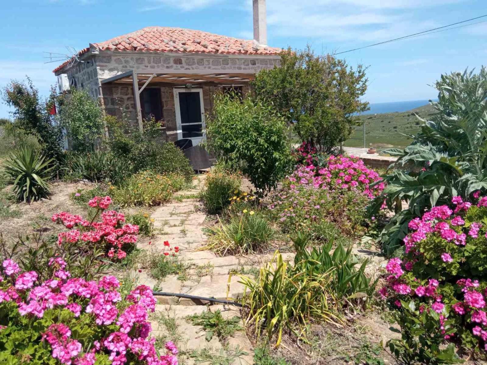 Apartmán Cozy House With Amazing Sea View Kaminia  Exteriér fotografie